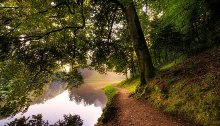 سری شصت و ششم عکس زمینه برای کامپیوتر   Beautiful Wallpapers