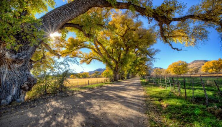 سری شصت و ششم عکس زمینه برای کامپیوتر   Beautiful Wallpapers