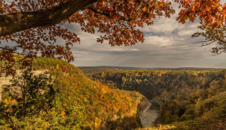 سری شصت و ششم عکس زمینه برای کامپیوتر   Beautiful Wallpapers