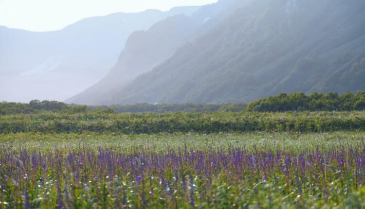 سری شصت و ششم عکس زمینه برای کامپیوتر   Beautiful Wallpapers