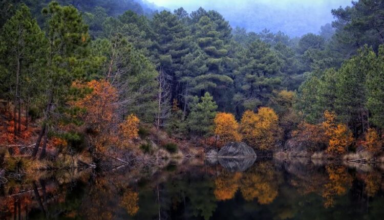 سری شصت و ششم عکس زمینه برای کامپیوتر   Beautiful Wallpapers