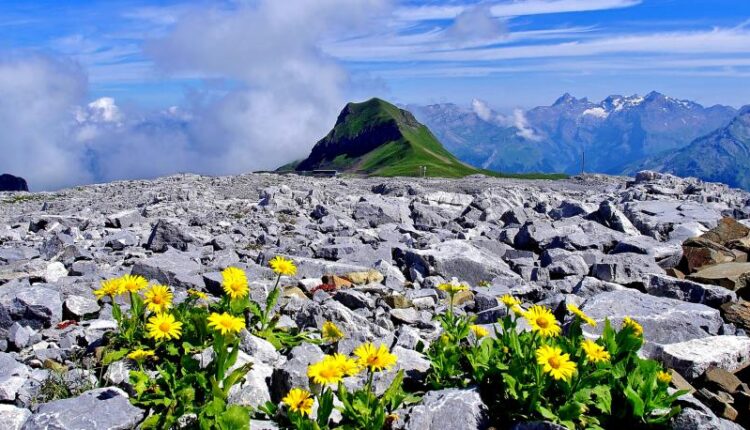 سری شصت و ششم عکس زمینه برای کامپیوتر   Beautiful Wallpapers