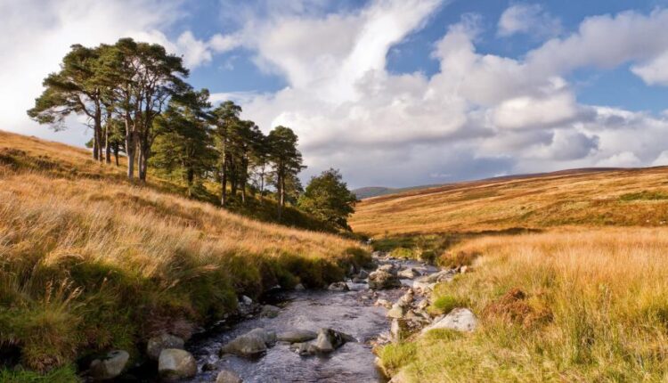 سری شصت و ششم عکس زمینه برای کامپیوتر   Beautiful Wallpapers