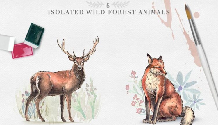 مجموعه کلیپ آرت عناصر طراحی جنگل   Wild Forest Watercolor