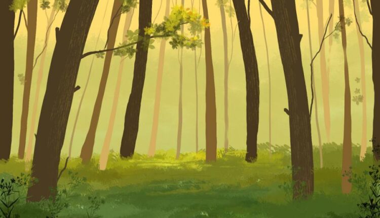 براش های برگ سبز درختان   Foliage Brushes Photoshop