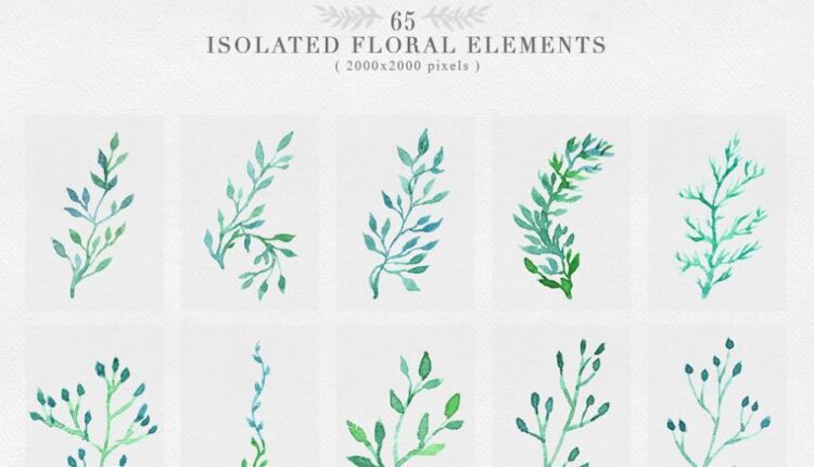 مجموعه کلیپ آرت عناصر طراحی جنگل   Wild Forest Watercolor