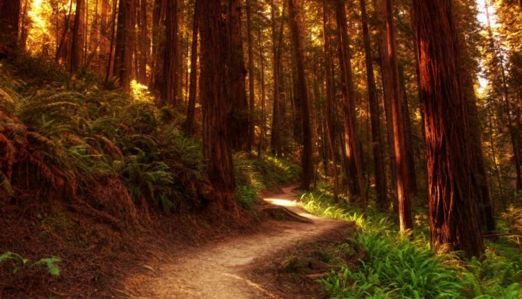 سری شصت و یکم والپیپر های باکیفیت   Beautiful Wallpapers