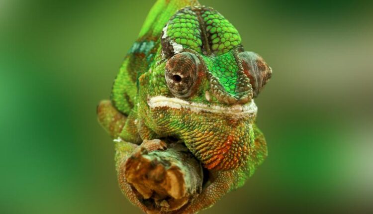 سری شصت و یکم والپیپر های باکیفیت   Beautiful Wallpapers