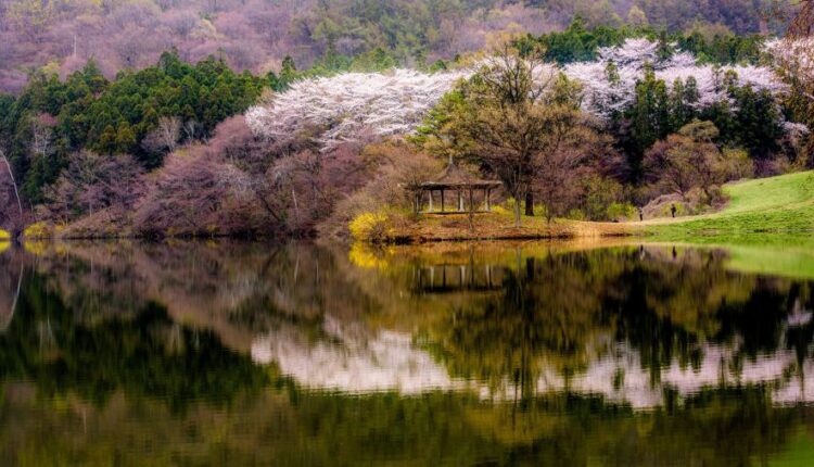 سری شصت و یکم والپیپر های باکیفیت   Beautiful Wallpapers