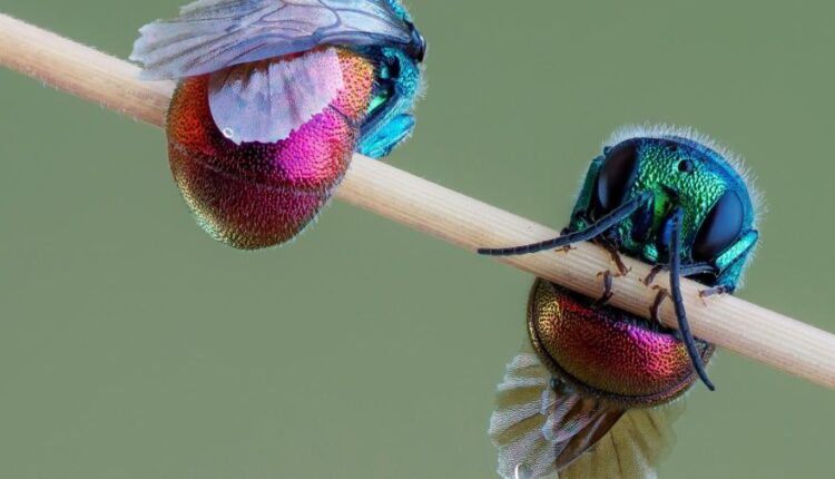 سری شصت و یکم والپیپر های باکیفیت   Beautiful Wallpapers