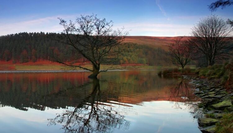 سری شصت و یکم والپیپر های باکیفیت   Beautiful Wallpapers