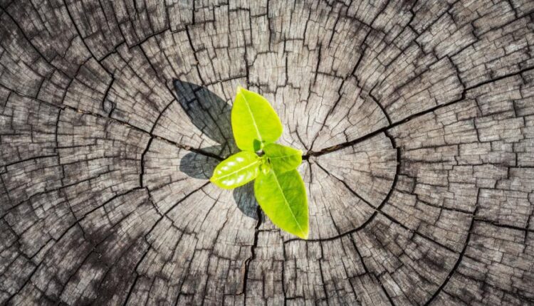 سری شصت و یکم والپیپر های باکیفیت   Beautiful Wallpapers