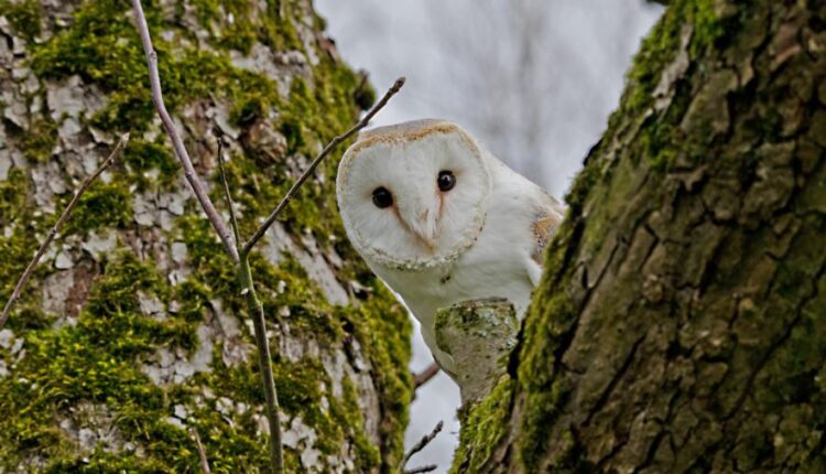 سری شصت و یکم والپیپر های باکیفیت   Beautiful Wallpapers