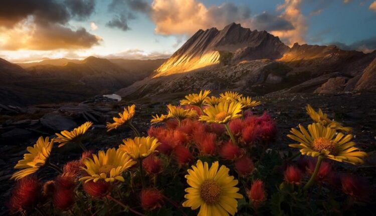 سری شصت و یکم والپیپر های باکیفیت   Beautiful Wallpapers