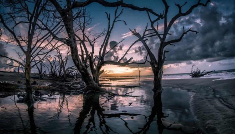 سری شصت و یکم والپیپر های باکیفیت   Beautiful Wallpapers