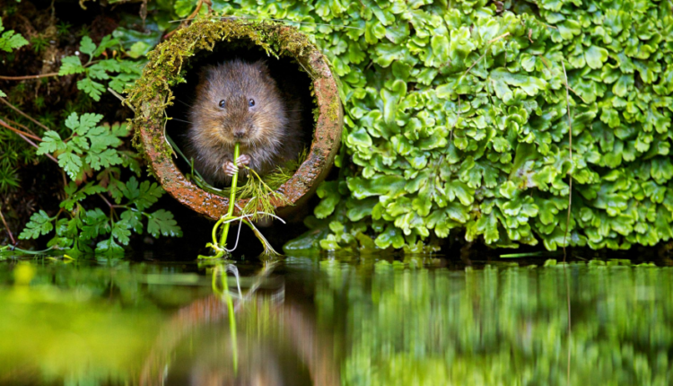 سری شصتم بک گراند های باکیفیت   Beautiful Wallpapers