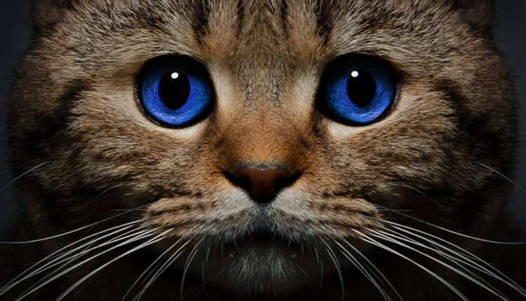 سری شصتم بک گراند های باکیفیت   Beautiful Wallpapers