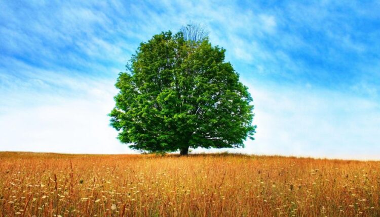 سری شصتم بک گراند های باکیفیت   Beautiful Wallpapers