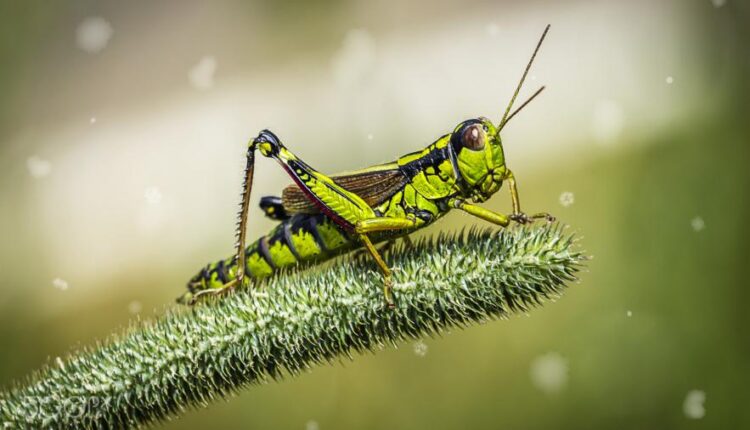 سری شصتم بک گراند های باکیفیت   Beautiful Wallpapers