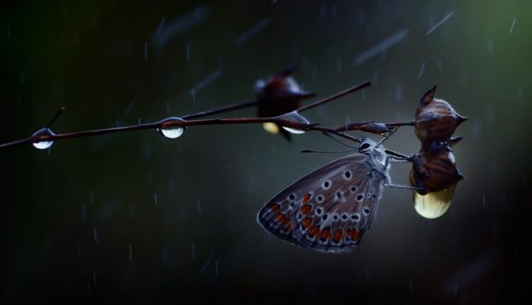 سری شصتم بک گراند های باکیفیت   Beautiful Wallpapers