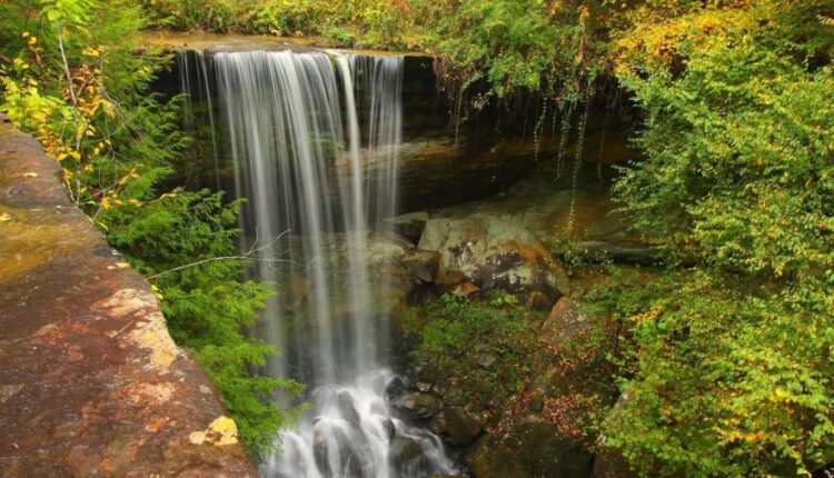 سری شصتم بک گراند های باکیفیت   Beautiful Wallpapers