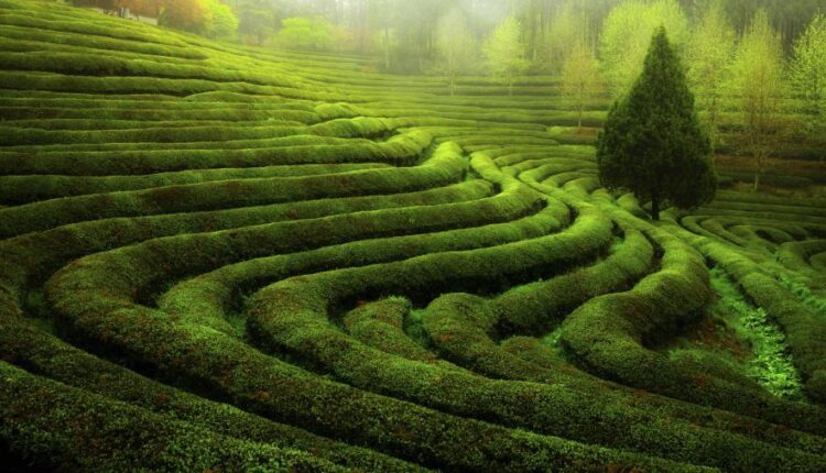 سری شصتم بک گراند های باکیفیت   Beautiful Wallpapers