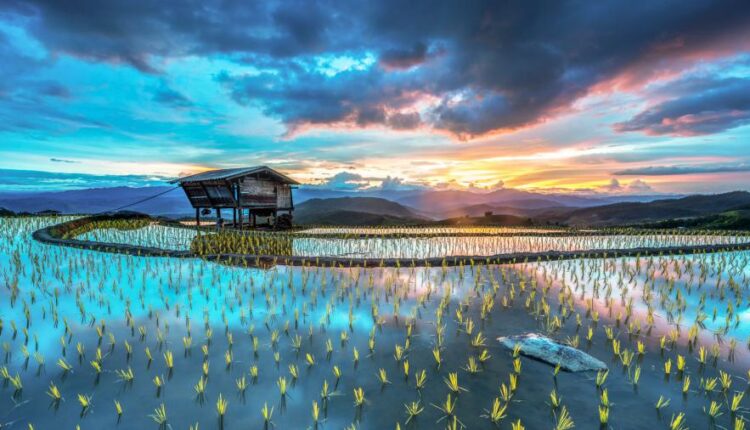 سری شصتم بک گراند های باکیفیت   Beautiful Wallpapers