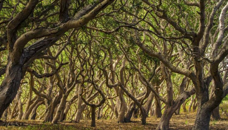 سری شصتم بک گراند های باکیفیت   Beautiful Wallpapers