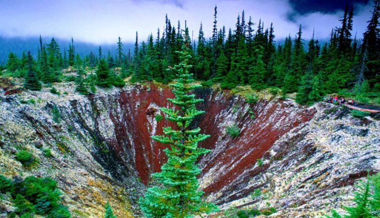 سری شصتم بک گراند های باکیفیت   Beautiful Wallpapers