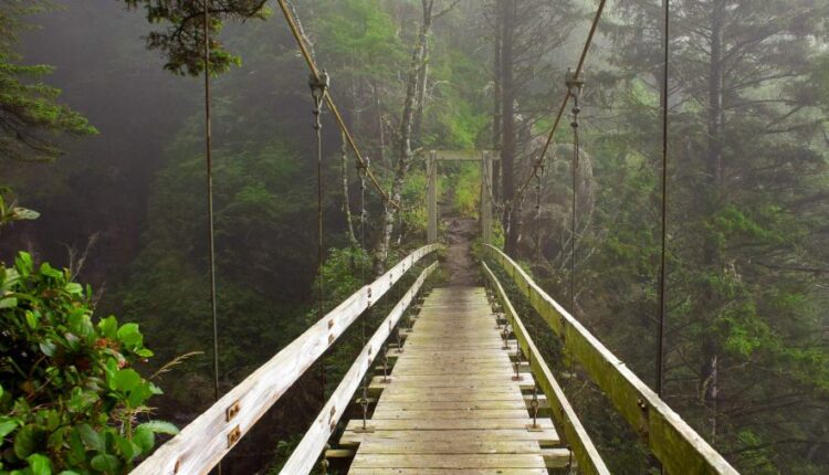 سری شصتم بک گراند های باکیفیت   Beautiful Wallpapers