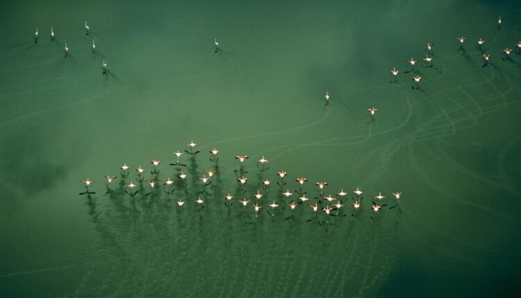 سری شصتم بک گراند های باکیفیت   Beautiful Wallpapers