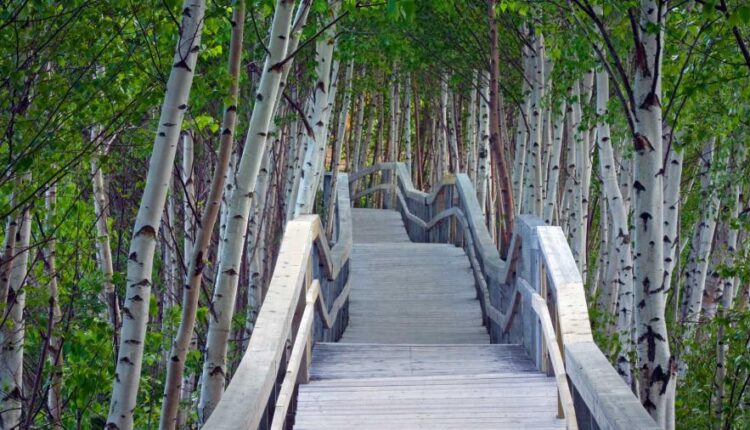 سری شصتم بک گراند های باکیفیت   Beautiful Wallpapers