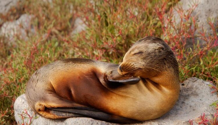 سری شصتم بک گراند های باکیفیت   Beautiful Wallpapers