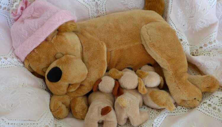 سری شصتم بک گراند های باکیفیت   Beautiful Wallpapers