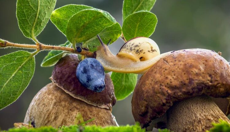 سری هفتاد و یکم تصویر زمینه برای دسکتاپ   Beautiful Wallpapers