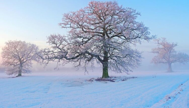 سری هفتاد و یکم تصویر زمینه برای دسکتاپ   Beautiful Wallpapers