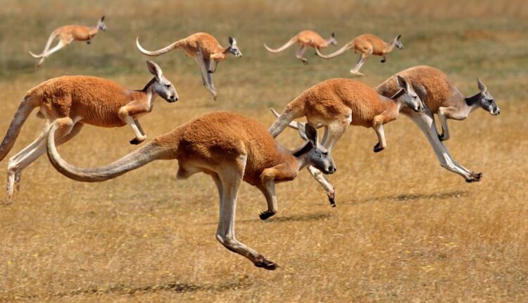 سری هفتاد و یکم تصویر زمینه برای دسکتاپ   Beautiful Wallpapers