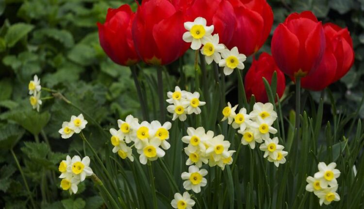 سری هفتاد و یکم تصویر زمینه برای دسکتاپ   Beautiful Wallpapers