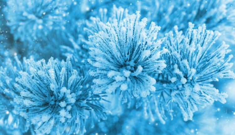 سری هفتاد و یکم تصویر زمینه برای دسکتاپ   Beautiful Wallpapers