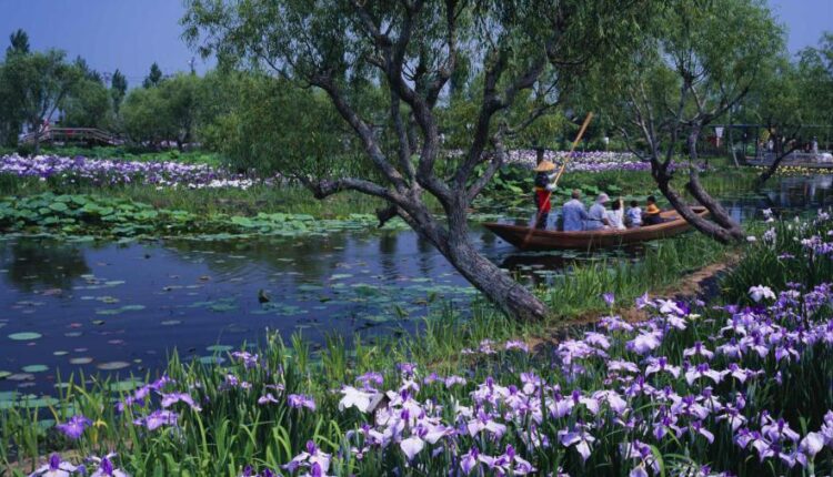 سری هفتاد و یکم تصویر زمینه برای دسکتاپ   Beautiful Wallpapers