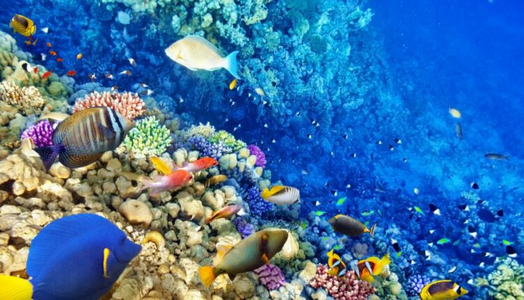 سری هفتاد و یکم تصویر زمینه برای دسکتاپ   Beautiful Wallpapers