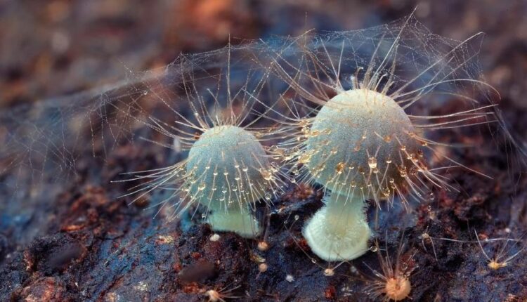 سری هفتاد و یکم تصویر زمینه برای دسکتاپ   Beautiful Wallpapers