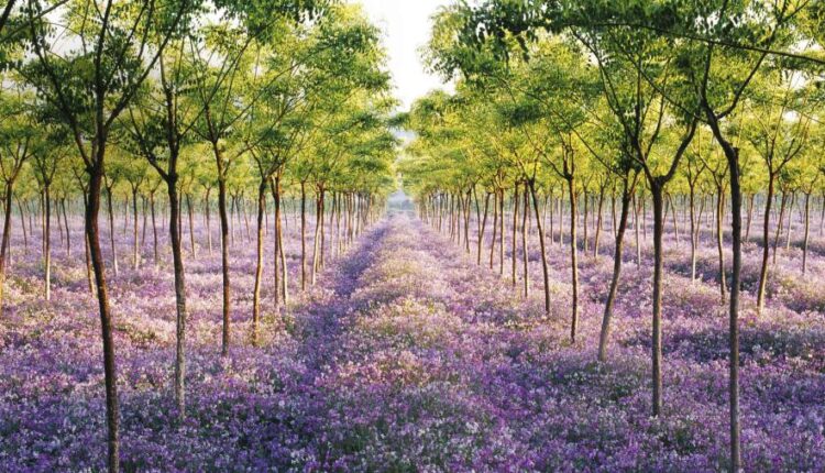 سری هفتاد و یکم تصویر زمینه برای دسکتاپ   Beautiful Wallpapers