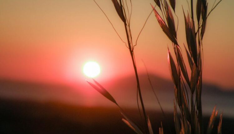 سری شصت و نهم والپیپر برای دسکتاپ   Beautiful Wallpapers