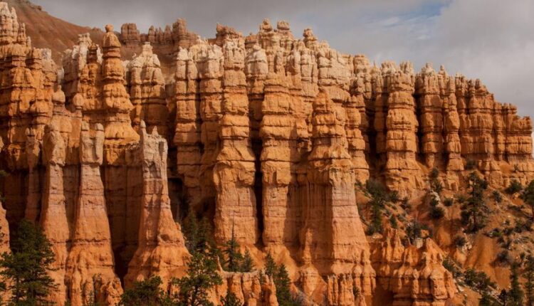 سری شصت و نهم والپیپر برای دسکتاپ   Beautiful Wallpapers