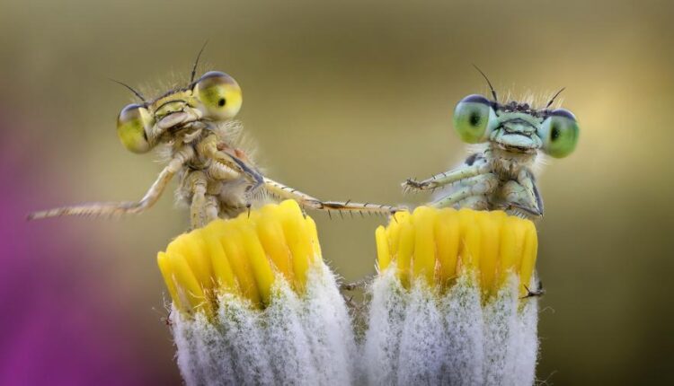 سری شصت و نهم والپیپر برای دسکتاپ   Beautiful Wallpapers