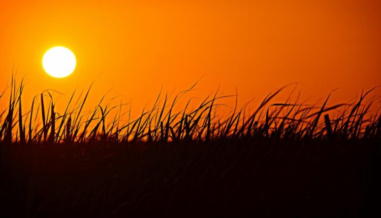 سری شصت و نهم والپیپر برای دسکتاپ   Beautiful Wallpapers