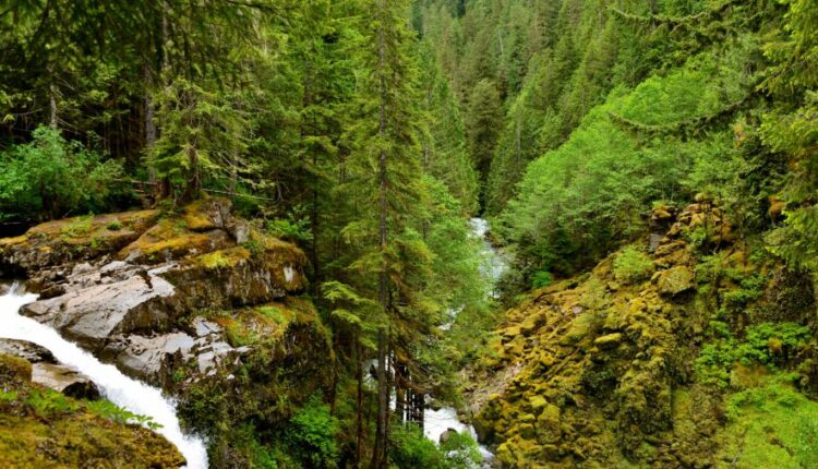 سری شصت و نهم والپیپر برای دسکتاپ   Beautiful Wallpapers