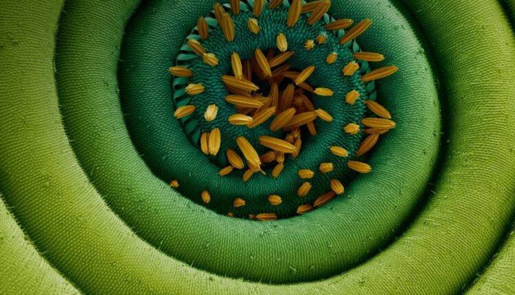 سری شصت و نهم والپیپر برای دسکتاپ   Beautiful Wallpapers