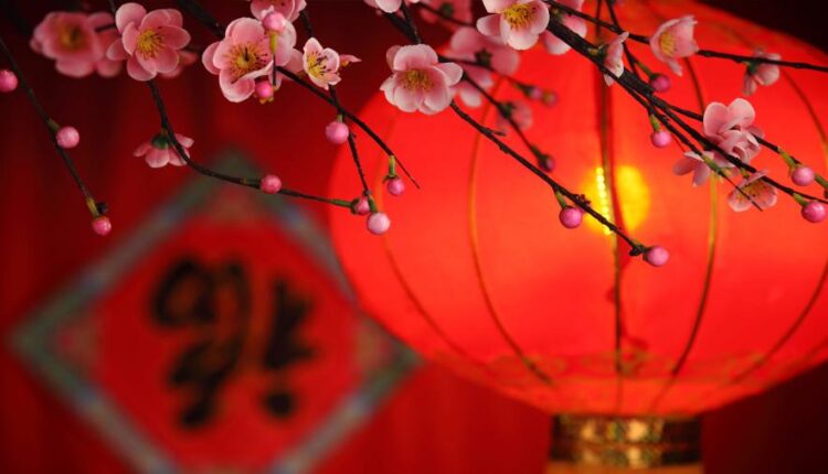 سری شصت و نهم والپیپر برای دسکتاپ   Beautiful Wallpapers